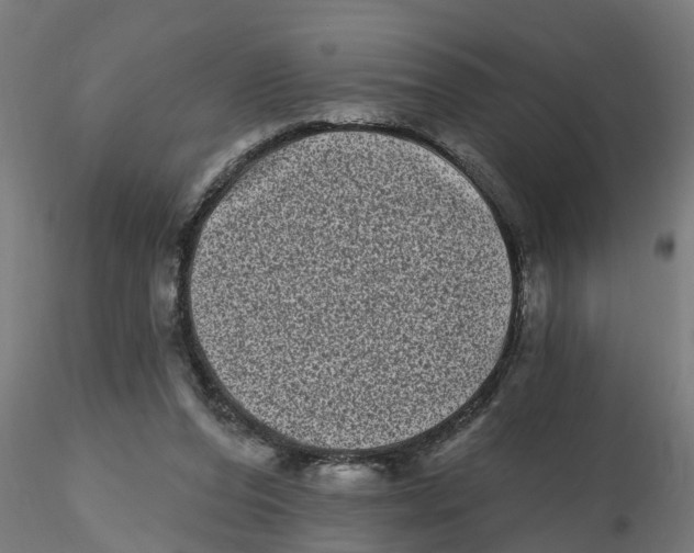 X0000116770208201001071223