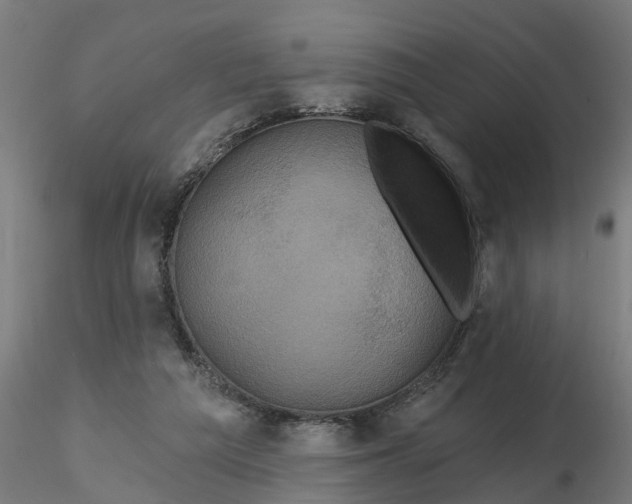 X0000116770209201001071223