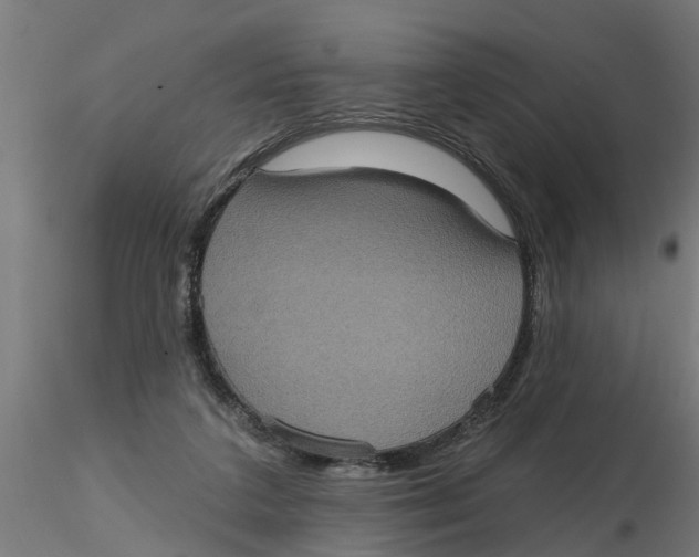 X0000116770211201001071223