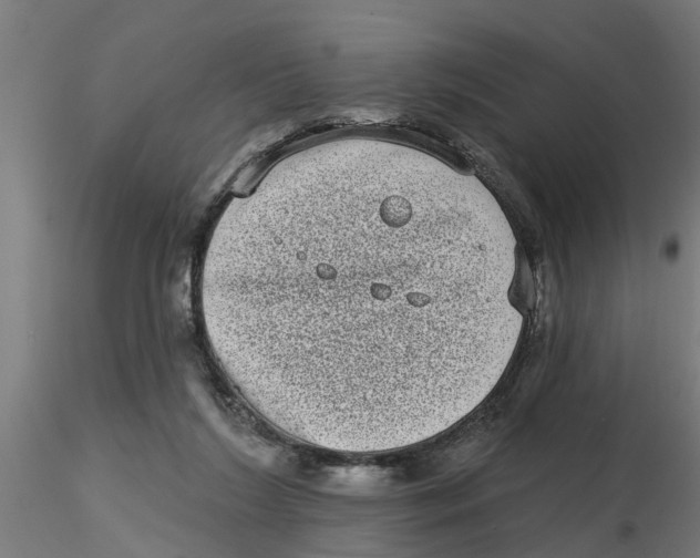 X0000116770212201001071223