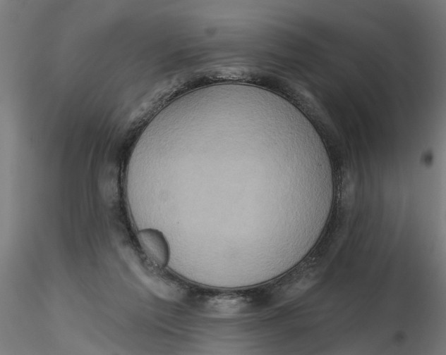 X0000116770213201001071223