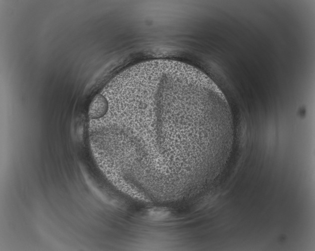 X0000116770214201001071223