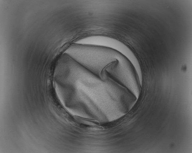 X0000116770215201001071223