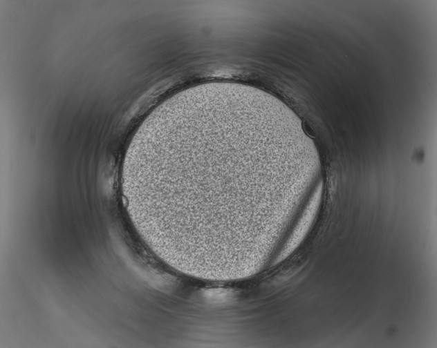 X0000116770216201001071223