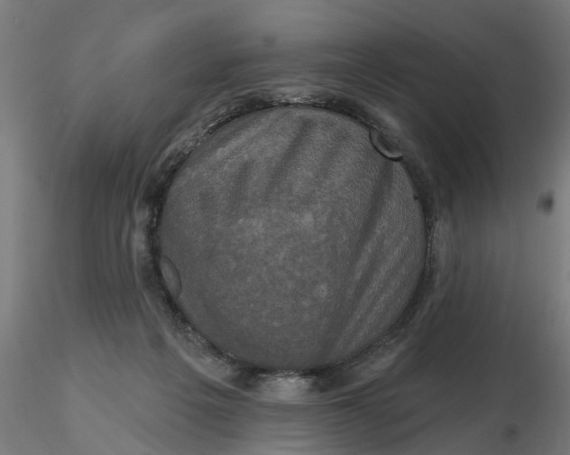 X0000116770217201001071223