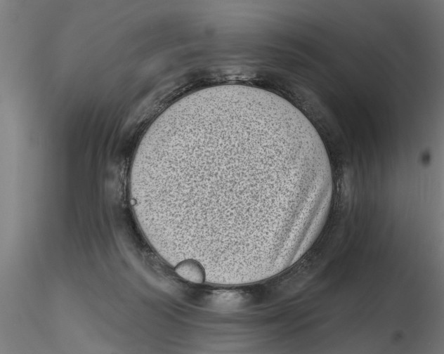 X0000116770218201001071223