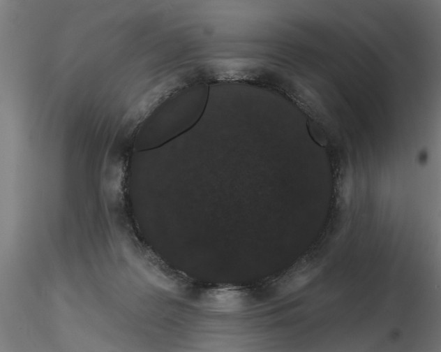 X0000116770219201001071223