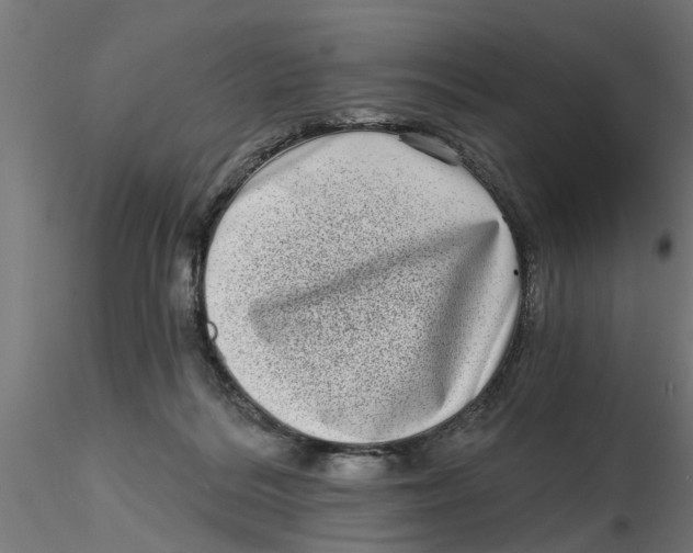 X0000116770220201001071223