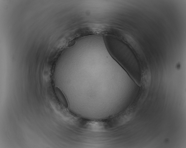 X0000116770221201001071223