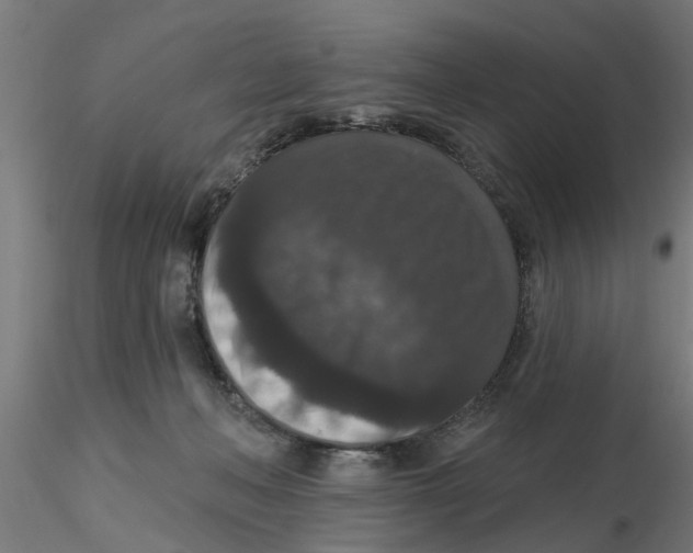 X0000116770222201001071223