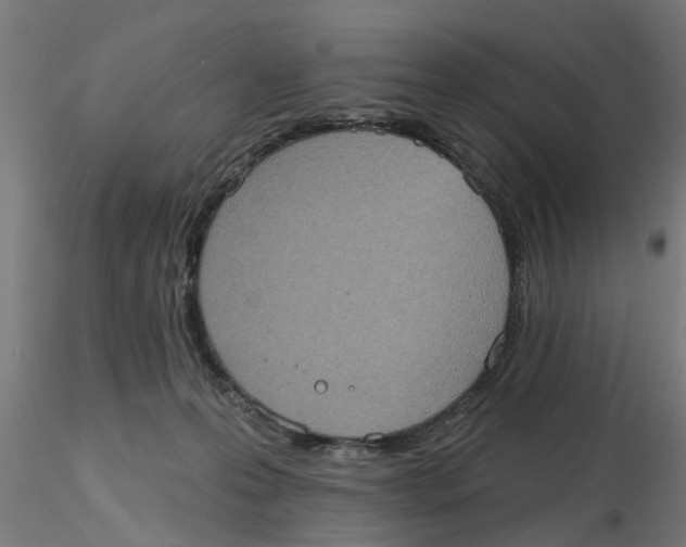 X0000116770223201001071223