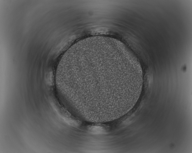 X0000116770224201001071223