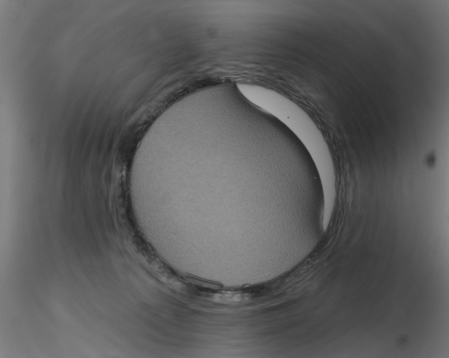 X0000116770225201001071223