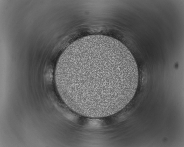 X0000116770226201001071223