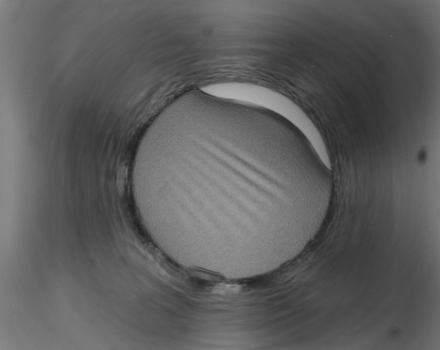 X0000116770227201001071223