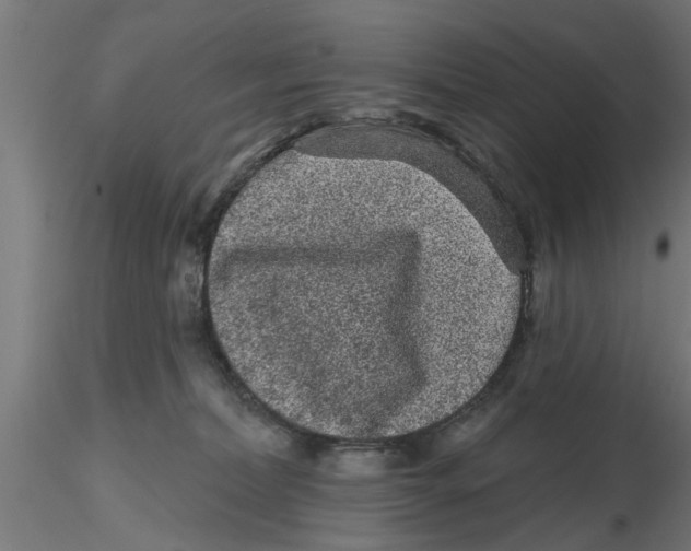 X0000116770228201001071223