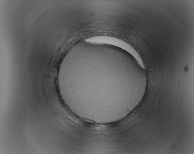 X0000116770229201001071223