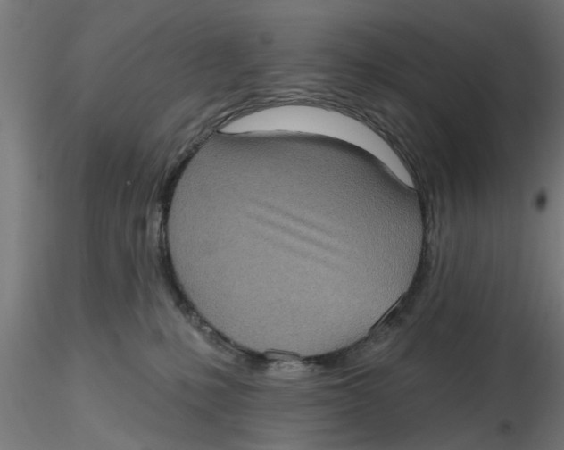 X0000116770231201001071223