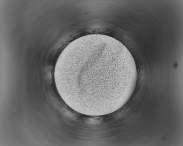 X0000116770232201001071223