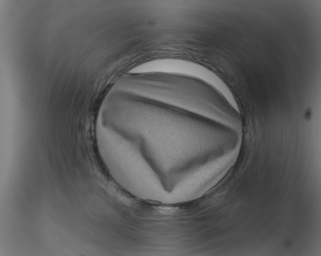 X0000116770233201001071223