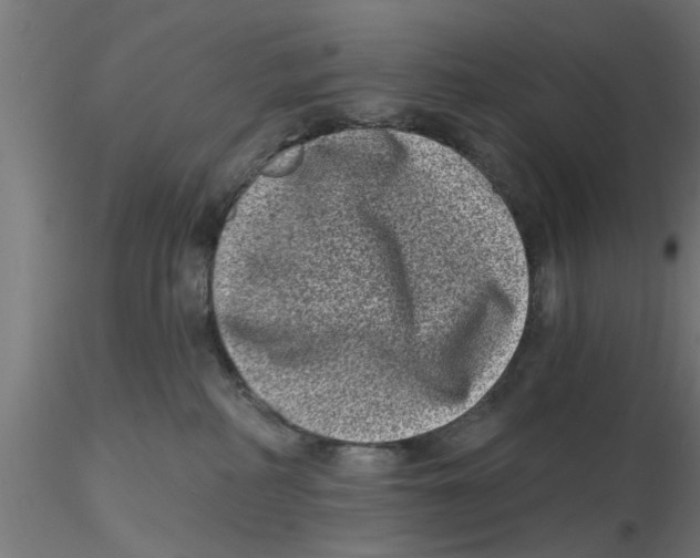 X0000116770234201001071223