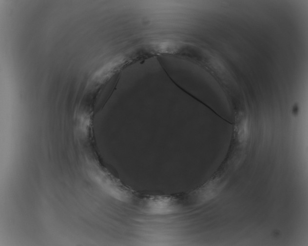 X0000116770235201001071223