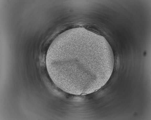 X0000116770236201001071223