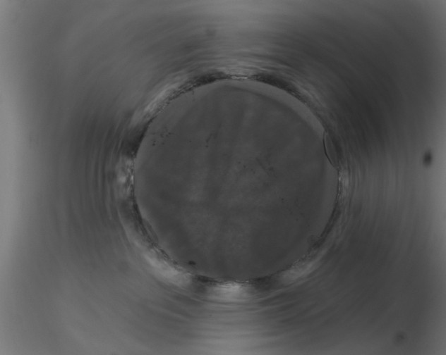 X0000116770237201001071223