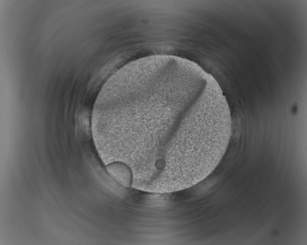 X0000116770238201001071223