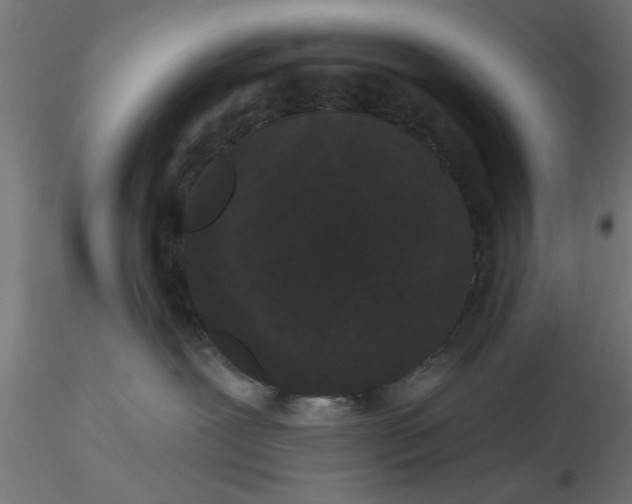 X0000116770239201001071222