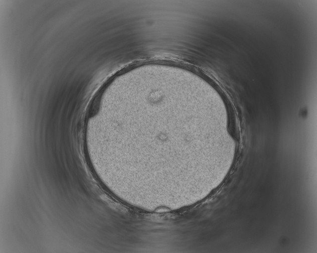 X0000116770241201001071222