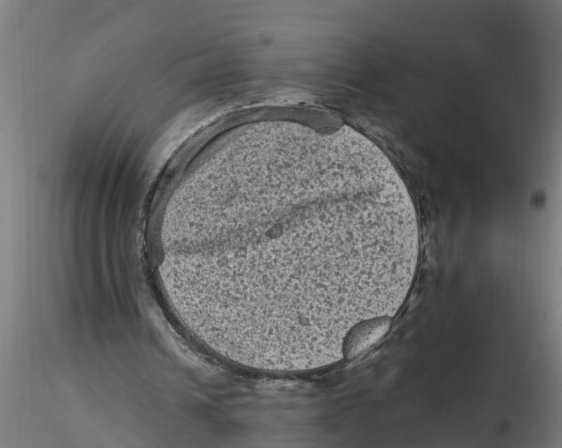 X0000116770242201001071222