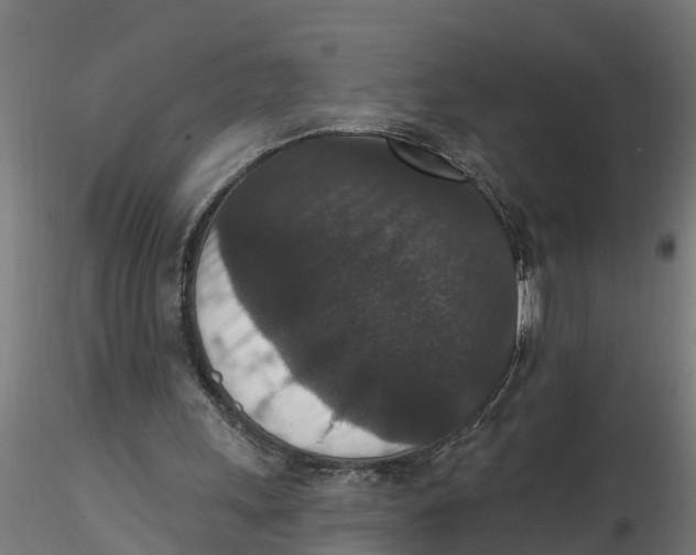 X0000116770243201001071222