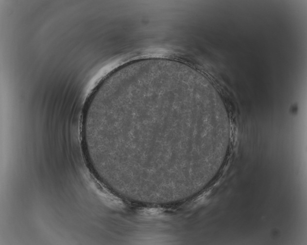 X0000116770244201001071222