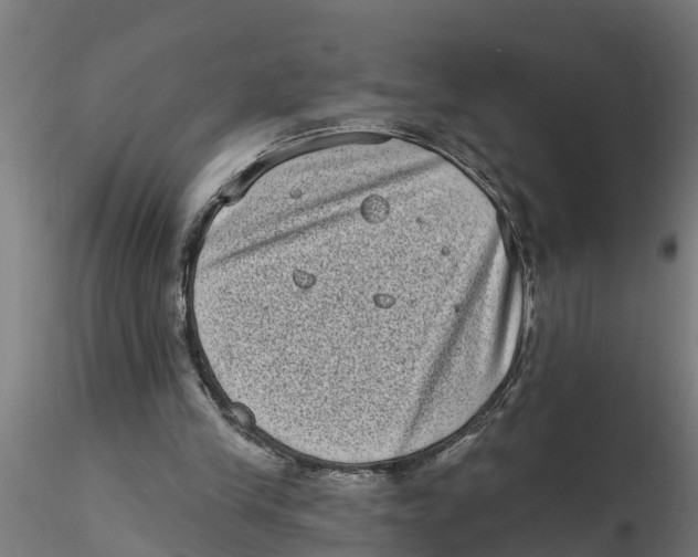 X0000116770245201001071222