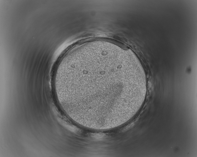 X0000116770246201001071222