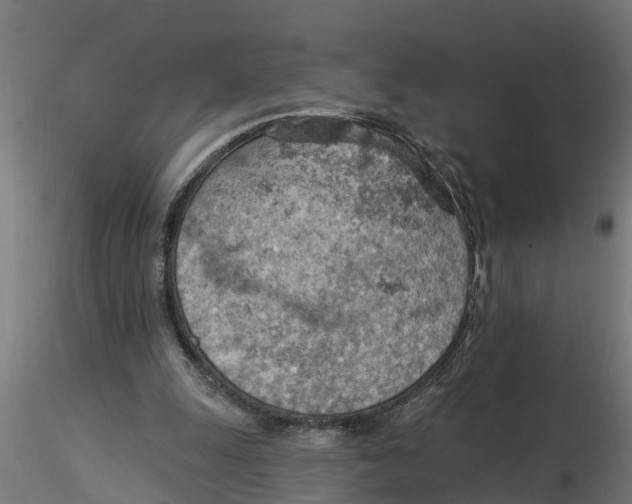 X0000116770247201001071222