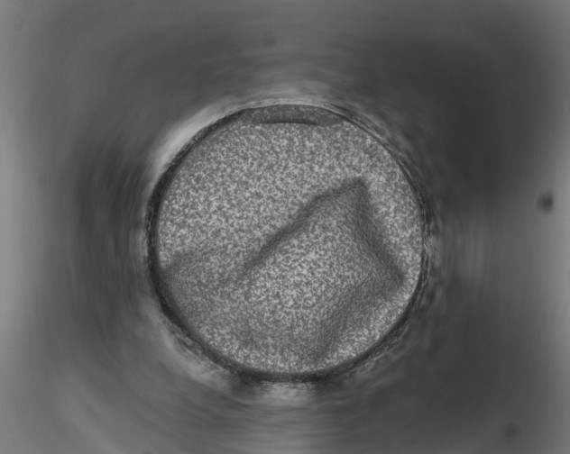 X0000116770248201001071222