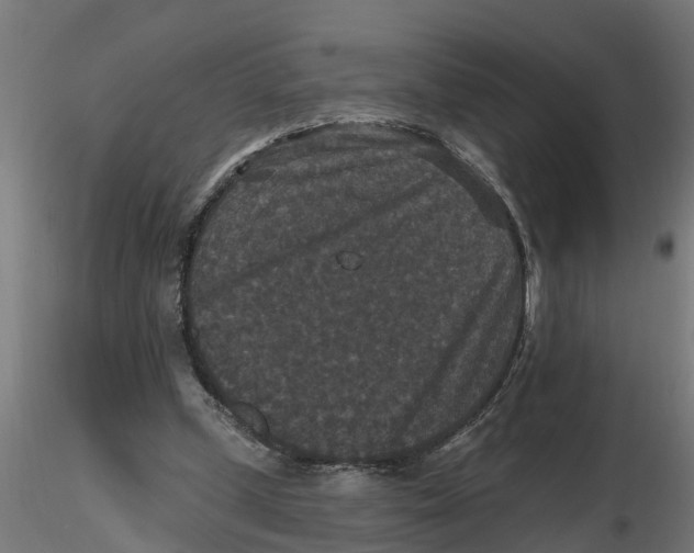 X0000116770249201001071222