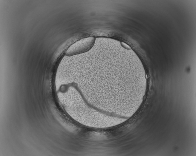 X0000116770250201001071222