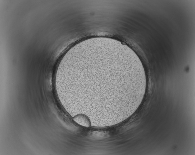 X0000116770251201001071222