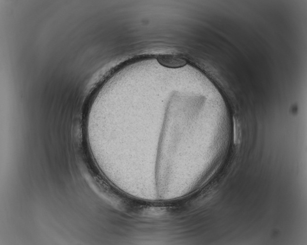 X0000116770252201001071222