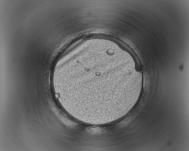 X0000116770253201001071222