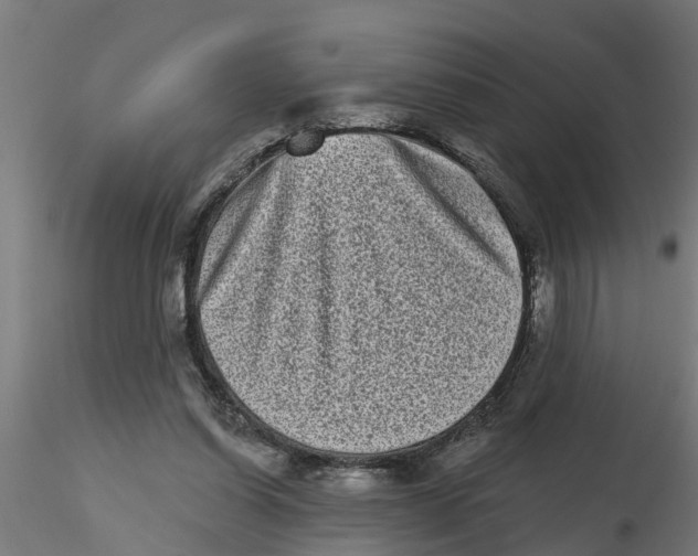 X0000116770254201001071222