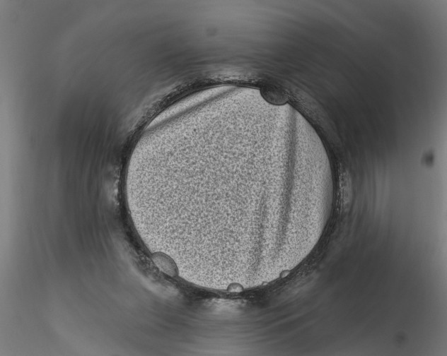 X0000116770255201001071222