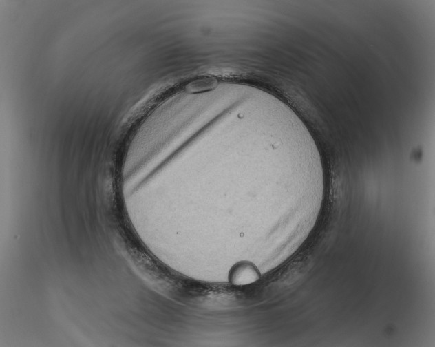 X0000116770256201001071222