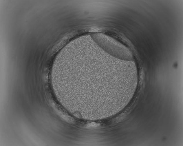 X0000116770257201001071222