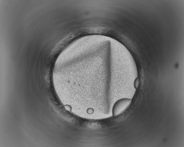 X0000116770258201001071222