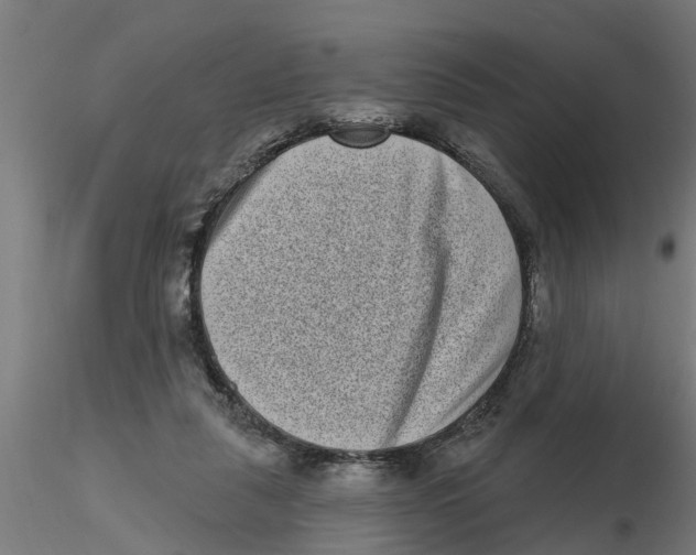 X0000116770259201001071222