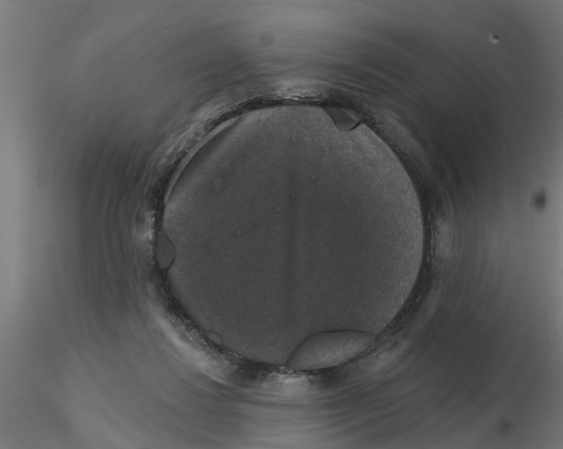 X0000116770260201001071222